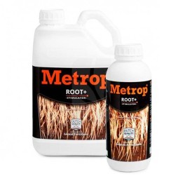 Root / Root + (Metrop)