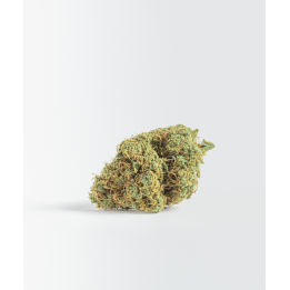 Flores de CBD Malibu Exotic | Matillaplant
