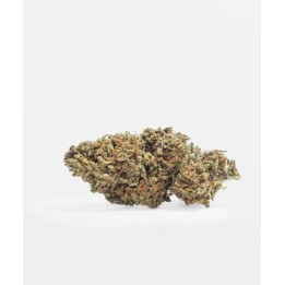 Small CBD Buds-Green Cure | The Tree CBD | Matillaplant