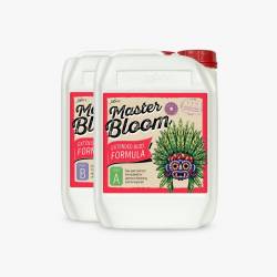master bloom a+b 5