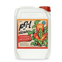 ph down xpert 5L