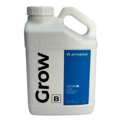 Grow B Athena