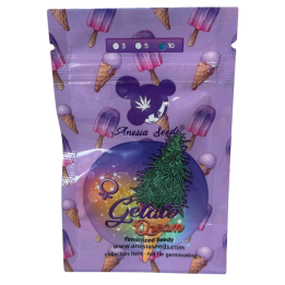 Gelato Dream | Anesia Seeds