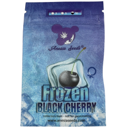 Frozen Black Cherry | Anesia Seeds