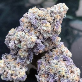 Blue Zushi Feminizada | Monkey Genetics | MatillaPlant