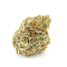 Forbidden Runtz XXL Auto | Growers Choice