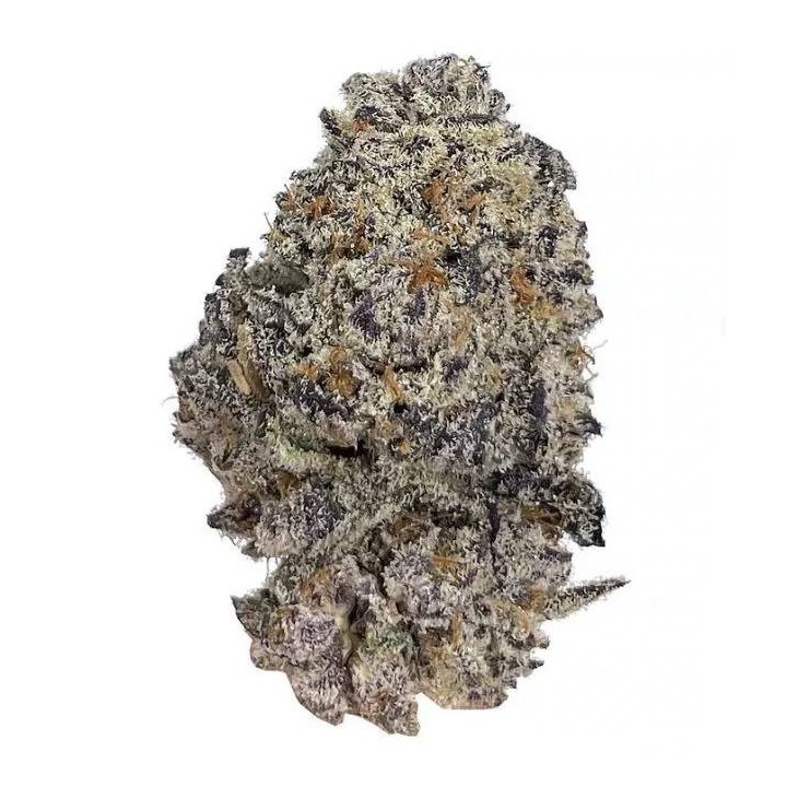 Original Oreoz Feminizada | Growers Choice | MatillaPlant