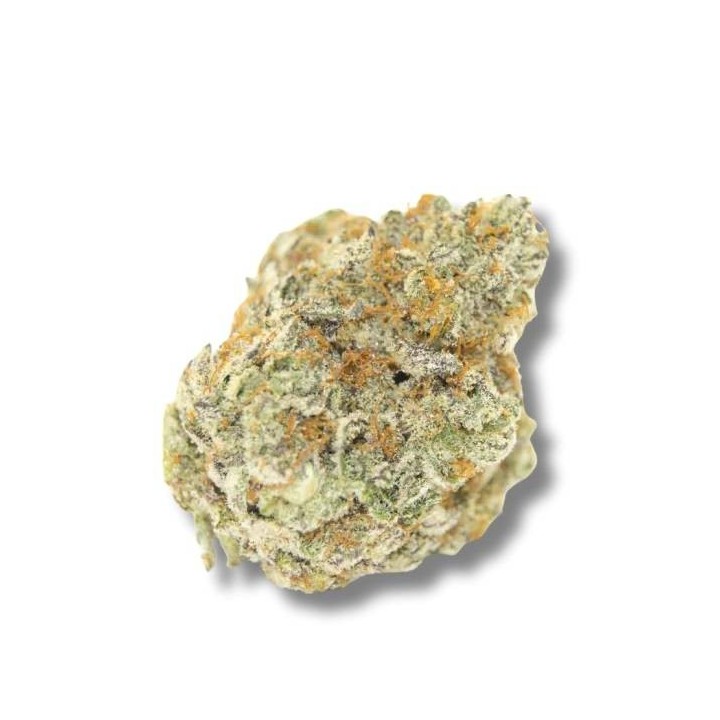 Permanent Whitemarker | Growers Choice | MatillaPlant