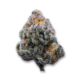 Platinum Mimosa Cookies | Growers Choice