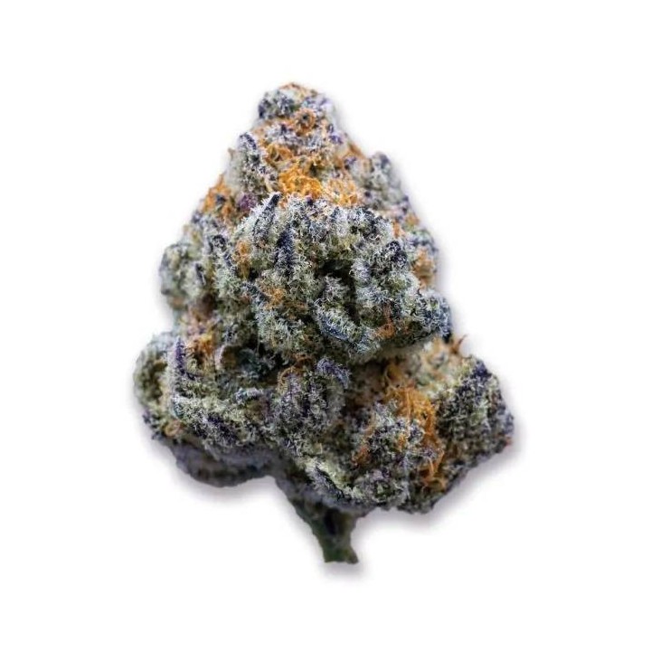 Platinum Mimosa Cookies | Growers Choice