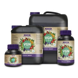 Atami VGN Boost 1-1-4