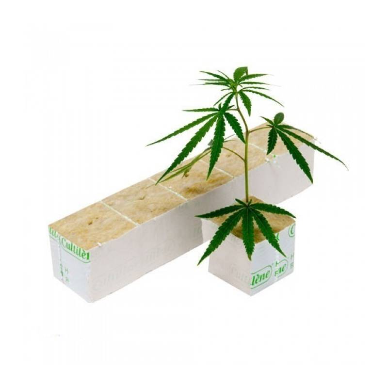 Cubo Lana De Roca Cultilene 40 x 40 x 40 mm (2700 Unidades) de Cubo Lana De Roca Cultilene 40 x 40 x 40 mm (2700 Unidades) de