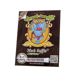 Black Muffin F1 Fast version | Sweet Seeds