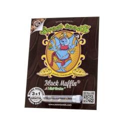 Black Muffin f1 Fast Version