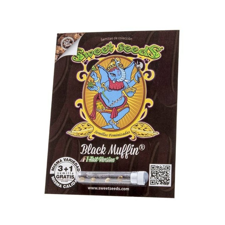 Black Muffin F1 Fast version | Sweet Seeds