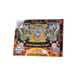 Jet Fuel Mandarine XL Auto | Sweet Seeds