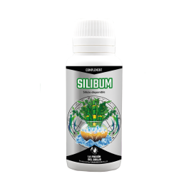 SILIBUM CANNABOOM MATILLAPLANT