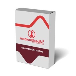 1024 Medical Seeds