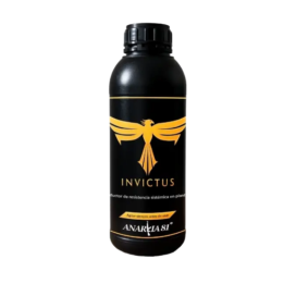 Anarkia Invictus