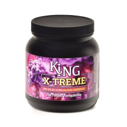 King X-TREME