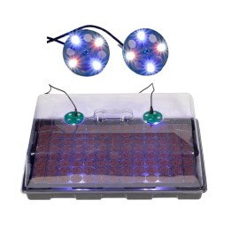 Sistema LED para propagador