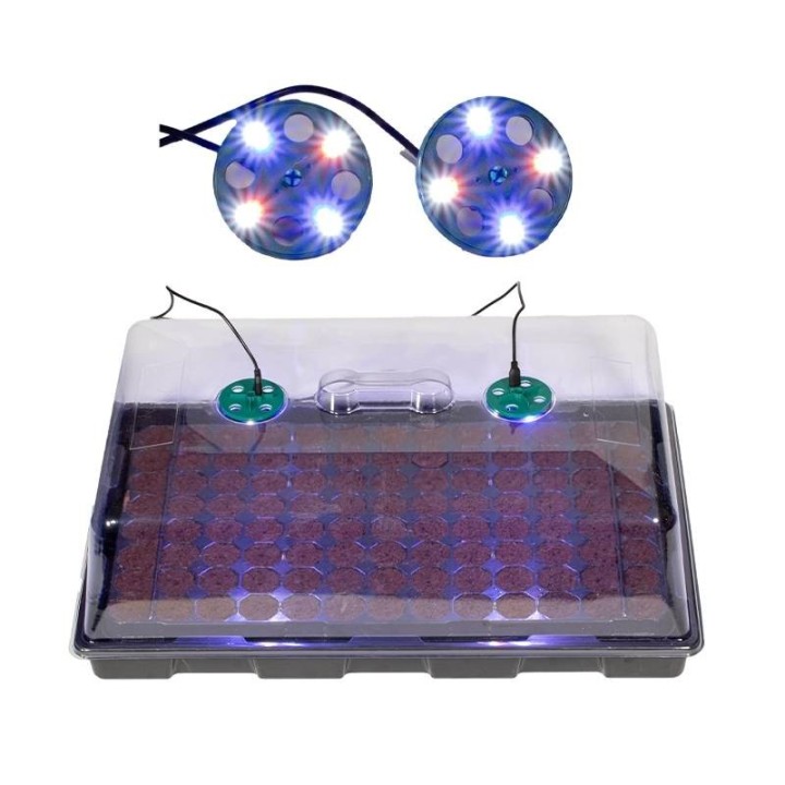 Sistema LED para propagador