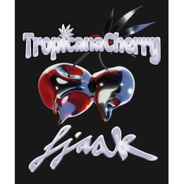 Tropicana Cherry Feminizada | Barneys Farm