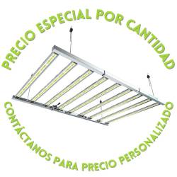 LAZERLITE PRO 1080W 3.1