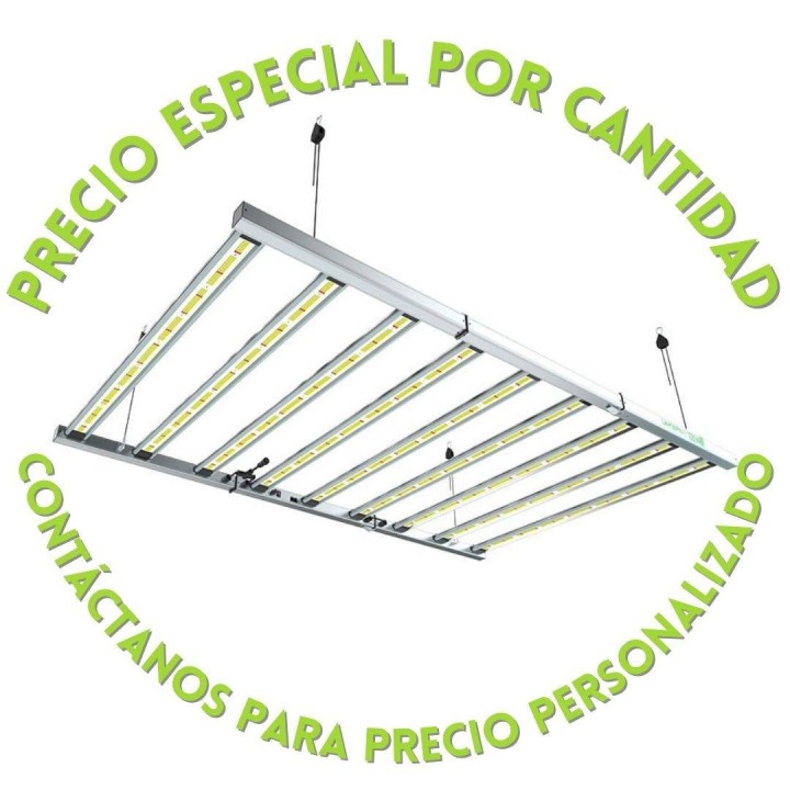 LAZERLITE PRO 1080W 3.1