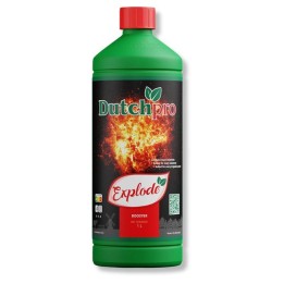 Explode DutchPro