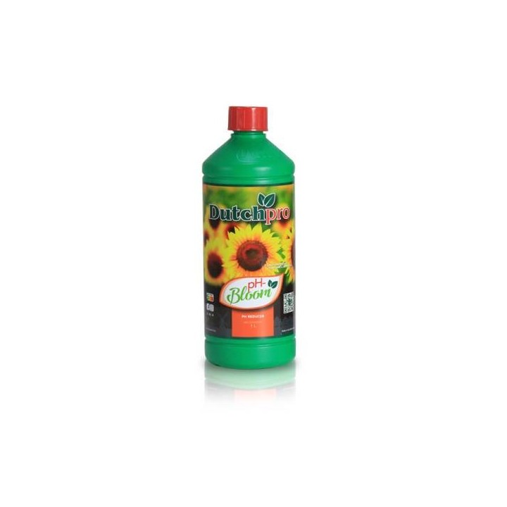 Ph - Bloom DutchPro