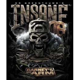 Insane OG | Barney's Farm