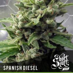 Spanish Diesel...