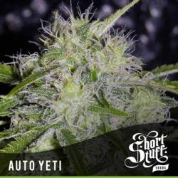 Yeti Autofloreciente Feminizada de Short Stuff Seeds