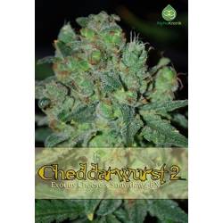 Cheddarwurst 2 Regular de 