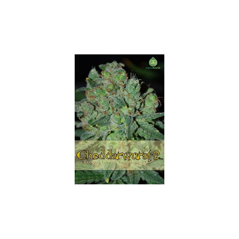 Cheddarwurst 2 Regular - 5 uds regu
