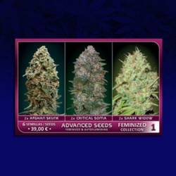 Colección 1 Feminizada de Advanced Seeds