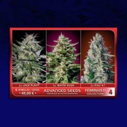 Colección 4 Feminizada de Advanced Seeds