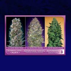 Colección 3 Autofloreciente Feminizada de Advanced Seeds