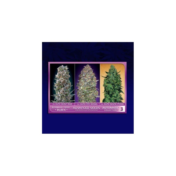 Colección 3 Autofloreciente Feminizada de Advanced Seeds