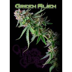 Green Alien Regular de 