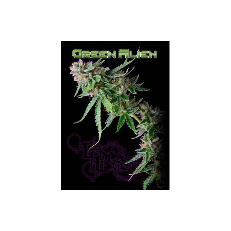 Green Alien Regular de 