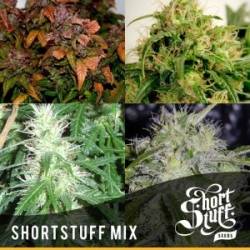 Short Stuff Mix Regular de Short Stuff Seeds