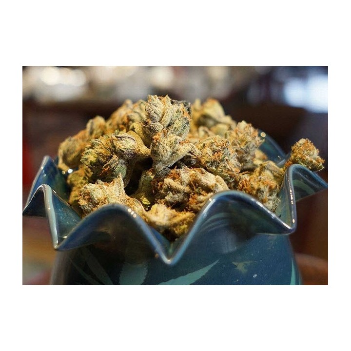 Somalicious Feminizada de Soma Seeds