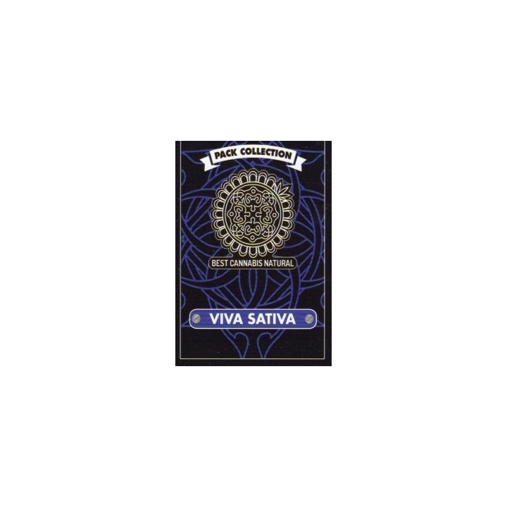 Viva Sativa Feminizada de Bcn Seeds