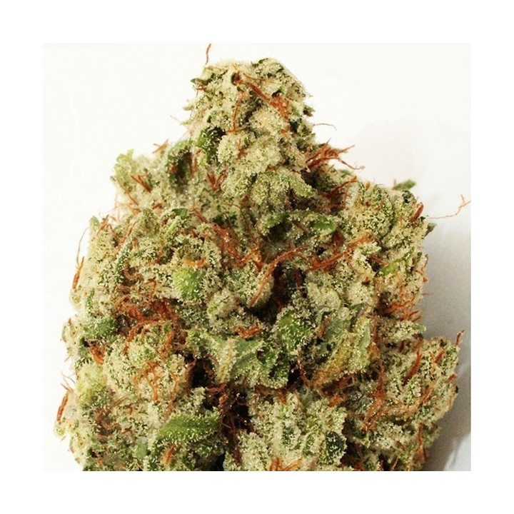 Green Ninja Feminizada de Heavyweight Seeds