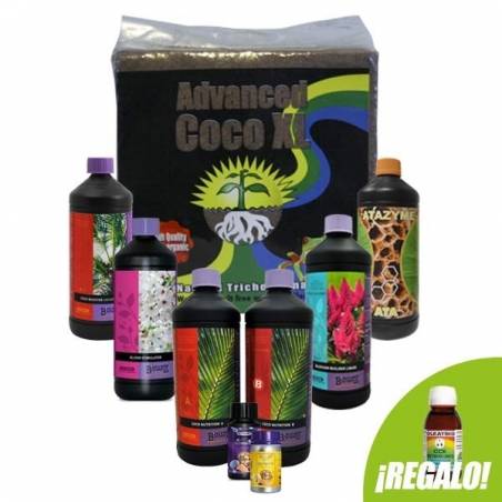 Oferta Pack ATAMI COCO Nutrición A&B - PROFESIONAL Oferta Pack ATAMI COCO Nutrición A&B - PROFESIONAL