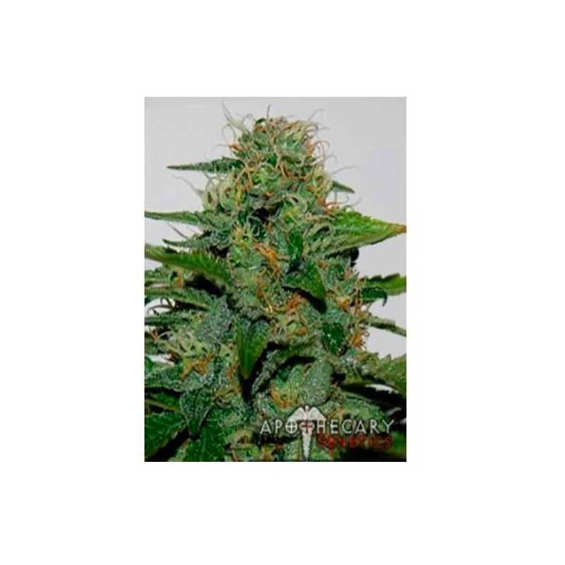 Earth OgApothecary Regular Earth OgApothecary Regular