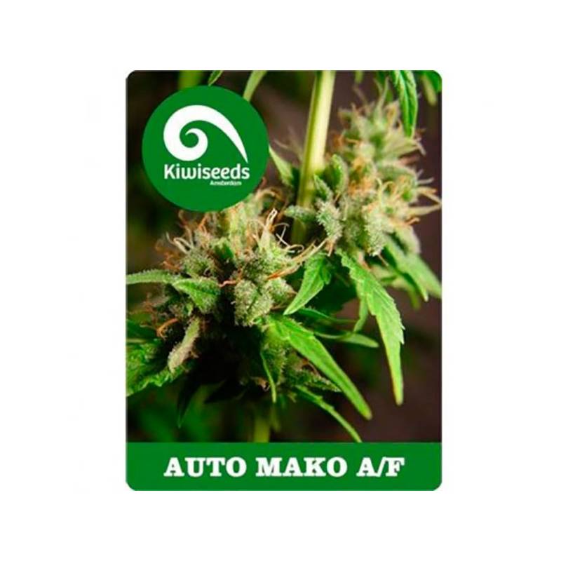 Mako Autofloreciente Feminizada de Kiwi Seeds