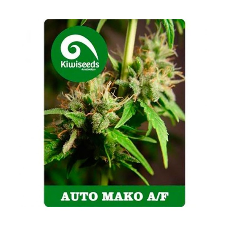 Mako Autofloreciente Feminizada de Kiwi Seeds